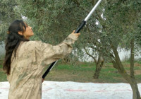 Muğla'ya dönüp baba mesleğini yaptı: Genç kadın huzuru toprakta buldu