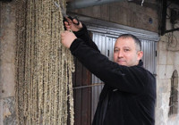 Konya'nın meşhur sebzesi Gaziantep'te çıktı! Kilo kilo alıyorlar: 2 bin TL'den satılıyor