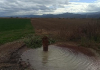 Konya’da çekilen su geri geliyor! Su metrelerce yükseğe püskürdü!