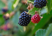 Bursa'da hibe desteği! Başvurular 30 Kasım'da sona erecek