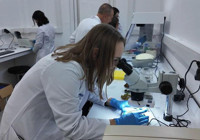 Bursa'da Türk bilim insanları tardigradların 'su ayısı' proteinleriyle savunma sanayine biyomalzeme geliştirecek