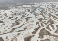 Konya'da köylüler diken üstünde! 200 bin tane bulundu, hepsi yok olacak