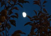 Bitlis Ahlat'ta yarım ay manzarası hayran bıraktı