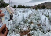 TARIMDA REKOR ÖDEME! Zirai Don ve Kuraklık Vurdu: Üreticilere 33 Milyar Liralık Hasar Ödemesi!
