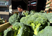 Kış sebzesi tezgahlara inince el değmiyor! 5 liralık ürün 14'e katlıyor 70 liraya ulaşıyor