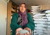 Çankırı'nın meşhuru yola düştü: Kara yolu kenarında tezgaha indi! 6 yıldır şifa satıyor