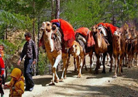 Son konargöçerlerin Akdeniz serüveni! 200 aile hala geleneklerini yaşatıyor: Kış yurdu Aydıncık'ta hazırlıklar başladı!
