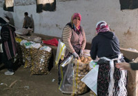 Afyonkarahisar'da hasat bitti! Tarlalardan depolara taşınıyor! Kilogram fiyatı çiftçinin yüzünü güldürdü
