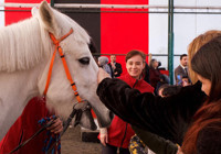 3 Aralık Dünya Engelliler Günü’nde özel çocuklar Hipodrom.com Atla Terapi Merkezi’nde buluştu