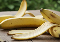 Muz kabuğu gübresi altın kadar değerli! Dökenler pişman oluyor: Kış ayında bile bitkilere çiçek açtırıyor