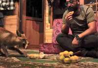 Beslediği tilkiye ‘Tilko’ ismini verdi... 'Ekmeği ve bisküviyi çok seviyor'