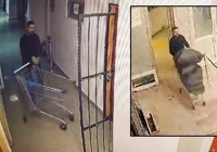 Türkiye bu soygunu konuşuyor... Altın vurguncusuna kırmızı bülten talebi