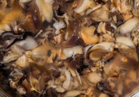 Evini mini üretim yerine çevirdi: Doğada gördü şimdi kavak mantarıyla kazancını katladı!