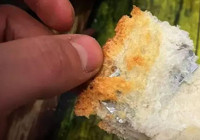 Ekmeğin içinden çıkan şoke etti! Kahvaltı masasında büyük panik