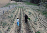 Depremin yaralarını toprakla sardı! Tek tek üretip ücretsiz olarak dağıtıyor