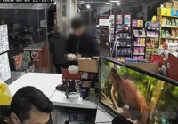 Fatih'te dehşet planlı çıktı! Zorbalar koli bandını 'doğum günü kutlayacağız' diyerek marketten almışlar