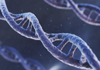 Bilimsel araştırmalar ortaya koydu: Kadınlar erkeklere oranla 5-7 sene daha uzun yaşıyor