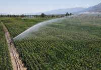 Ziraat Bankası'ndan Çiftçiye Dev Destek: Tarımda Su İsrafına Son Verecek Kredi Başladı!