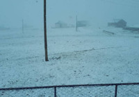 Silve Yaylası beyaza büründü