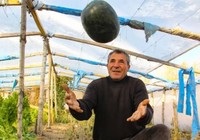 Ninesinin sandığında bulduğu tohumları ekti! Paraya para demiyor