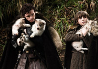 Game of Thrones'ta Bran'in köpeği Summer kansere yenik düştü