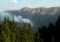 Gümüşhane Örümcek Ormanları'nda yangın