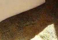 Pirinç tozunu altın tozu diye satmaya çalıştılar