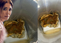 Bakan Ersoy'un eşi Pervin Ersoy yaşanan olayı anlattı: İlk başta hayvan ölüsü sandım