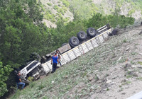 Kurbanlıkları taşıyan TIR devrildi; Sürücü öldü 17 hayvan telef oldu