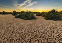 Paris Anlaşması uygulanırsa dünya her yıl 57 sıcak günden kurtulabilir