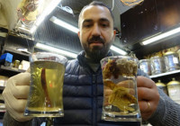 21 bitkili kış çayı gribe karşı koruyor