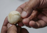 Beçin Antik Kenti'nde "Yıldız Avcısı" heykelciğinin parçası bulundu