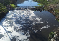 Terksakan Çayı'ndaki köpürmeye inceleme