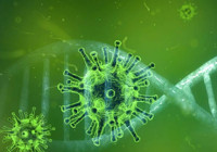 Herkesin beklediği o müjdeli haber geldi! 'Koronavirüs tamamen yok olacak'