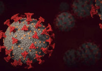 DSÖ Genel Direktörü Ghebreyesus: Covid-19 bu yıl bitebilir