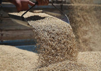 Rekabet Kurumu'ndan 4 yem üreticisi ve satıcısına ceza