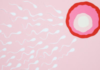 Sperm kalitesi için uzak durmanız gereken besinler; iki nesil sonrasını etkiliyor!