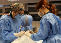 Plastik cerrahi uzmanlarına kadavra üzerinde eğitim