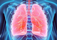 Tütün kullanan kişilere kötü haber! Akciğer ve Mesane kanseri birbiri ile ilişkili