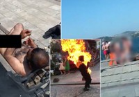 Hande Fırat: Toplum deliriyor mu ya da başka bir tezgah mı var?