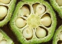 Halsizliği anında alan en etkili besin...