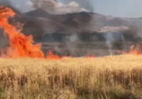 Çocukların oyunu buğday tarlasını yaktı, 20 dönüm küle döndü
