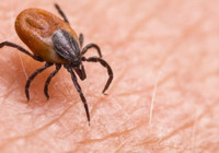 Yozgat’ta keneden ölenlerin sayısı 4’e yükseldi