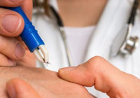 Türkiye'de insanları enfekte edebilen kene kaynaklı yeni bir bakteri görüldü