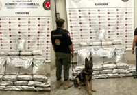 Esendere Gümrük Kapısı'nda 513 kilogram uyuşturucu ele geçirildi