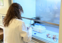 Tehlike kapımıza dayandı: Yunanistan'da can aldı, Türkiye için de uyarı geldi