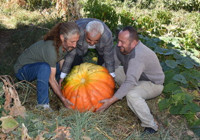 Hakkarili çiftçi 100 kilogramlık bal kabağı yetiştirdi