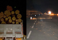 Gümüşhane'de yola savrulan tomruklar otomobile çarptı: 1 yaralı