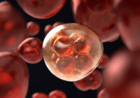 Prof. Dr. Bakır: Şu an yaşanan salgın mevsimsel, tedbir için aşılanma gerekli