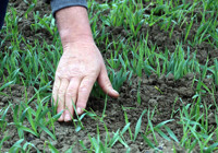 Eskişehirli çiftçilerin 'kuraklık' endişesi